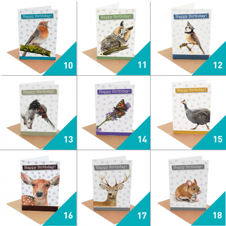 Pick and Mix Card Offer – Birthday, Good Luck and Pawsome Cards - Image 3