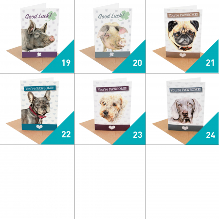 Pick and Mix Card Offer – Birthday, Good Luck and Pawsome Cards - Image 4