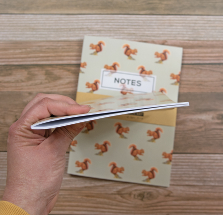 Red Squirrel Notebook – A5, lined inside pages - Image 4