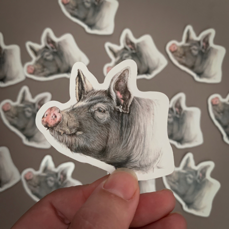 Berkshire Pig – Vinyl Bird Sticker - Image 3