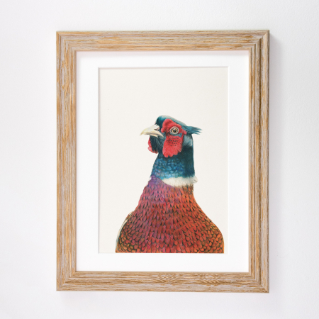 Pheasant Print – Phil - Image 6