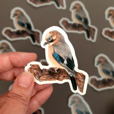 Jay – Vinyl Bird Sticker - Image 3