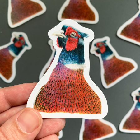 Pheasant – Vinyl Bird Sticker - Image 4