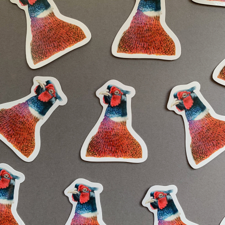 Pheasant – Vinyl Bird Sticker - Image 3