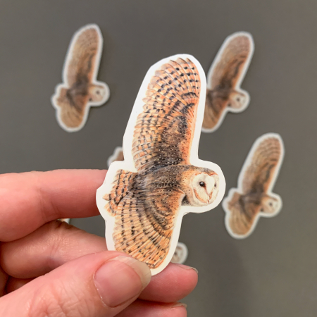 Barn Owl – Glossy, Paper Animal Sticker - Image 3