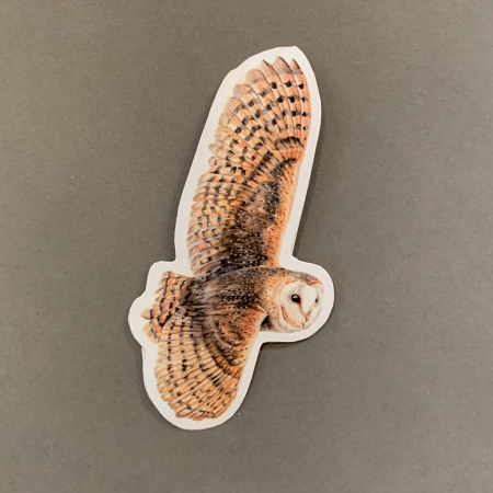 Barn Owl – Glossy, Paper Animal Sticker - Image 4