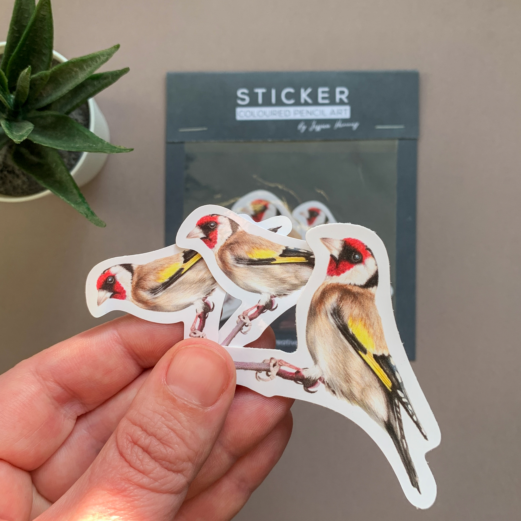 Goldfinch Bird – Vinyl Sticker Pack - Image 4