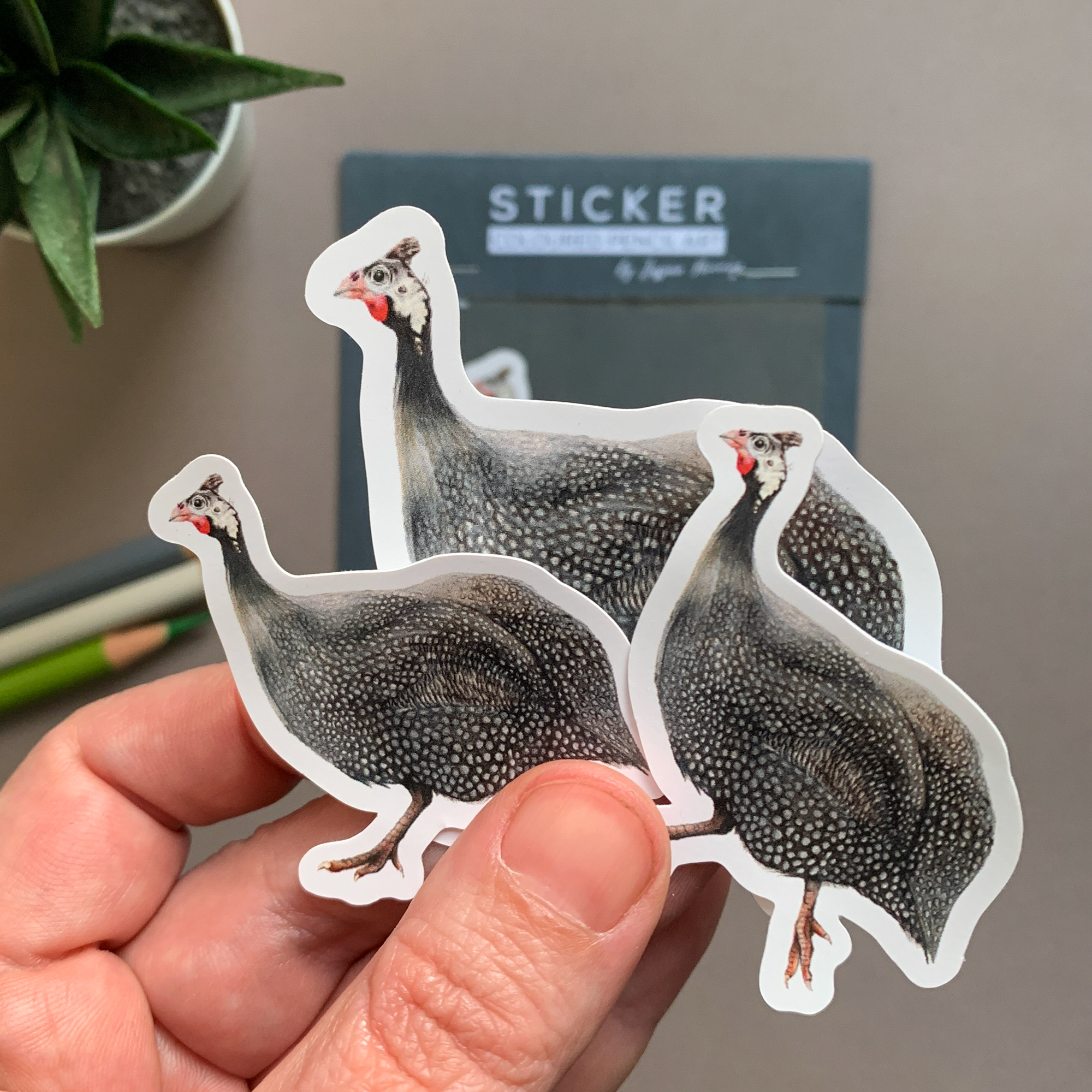 Guinea Fowl – Vinyl Sticker Pack - Image 5