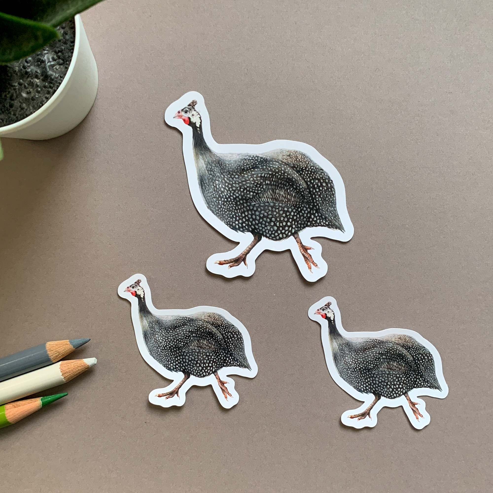 Guinea Fowl – Vinyl Sticker Pack - Image 3
