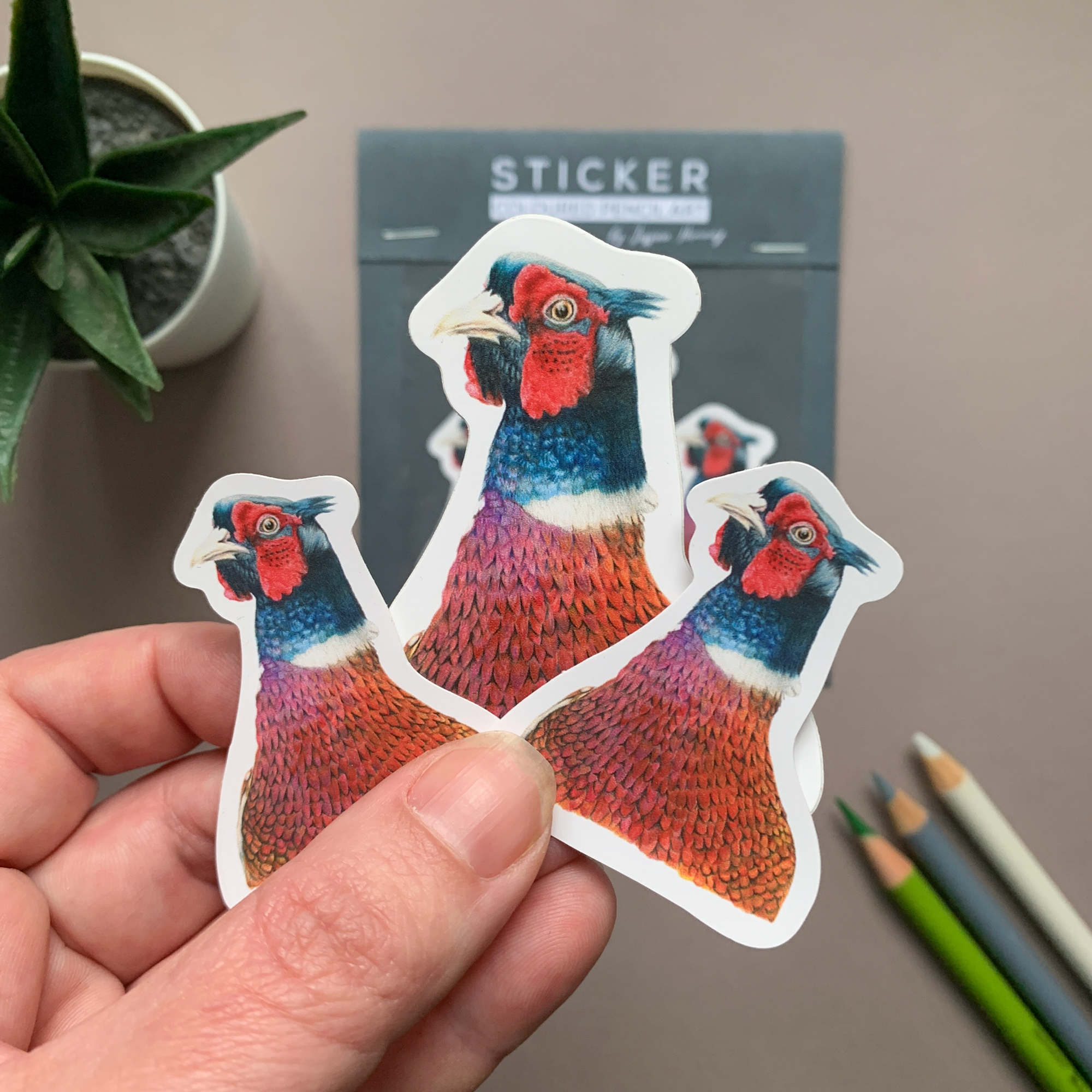 Pheasant Bird – Vinyl Sticker Pack - Image 5