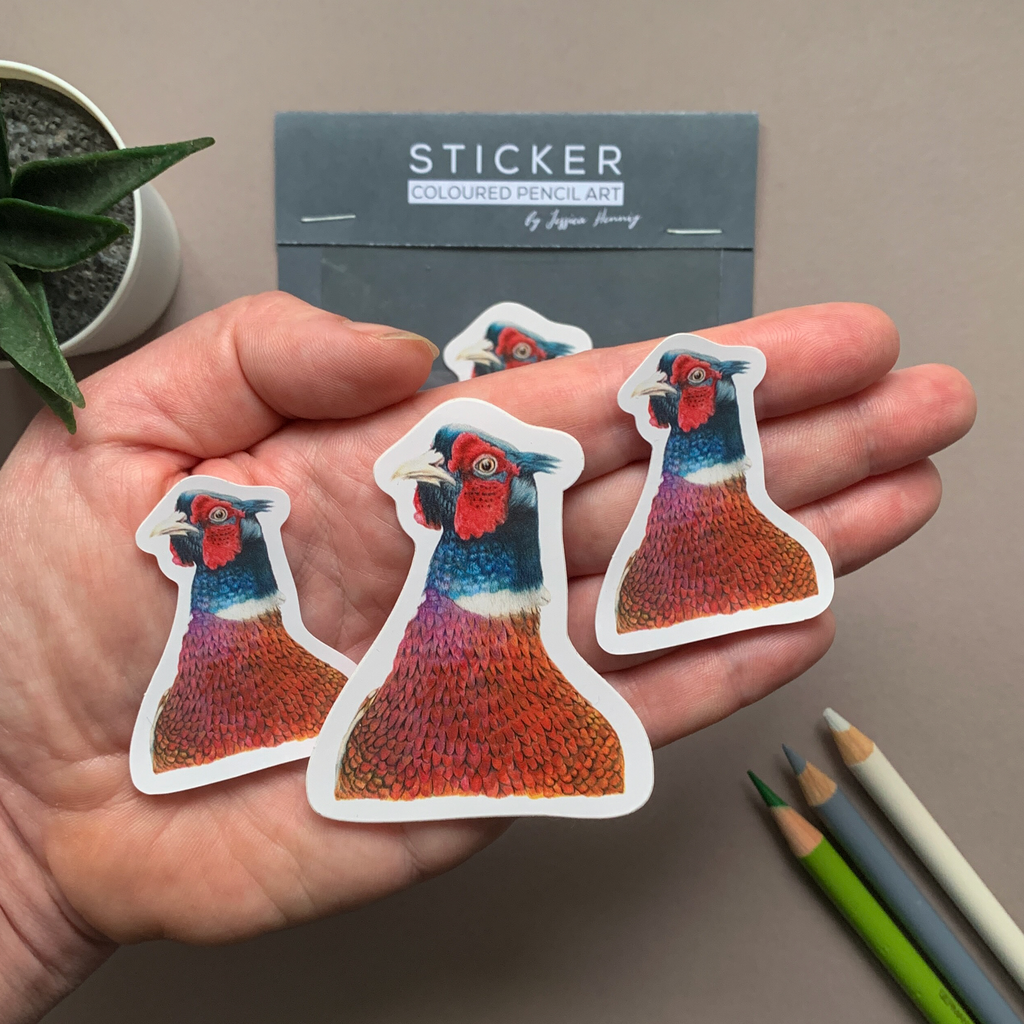 Pheasant Bird – Vinyl Sticker Pack - Image 2