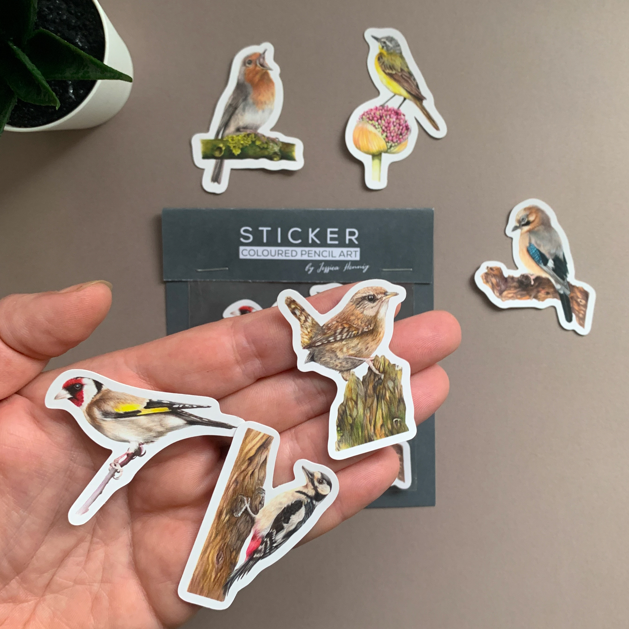 British Birds Collection – Vinyl Sticker Pack - Image 4