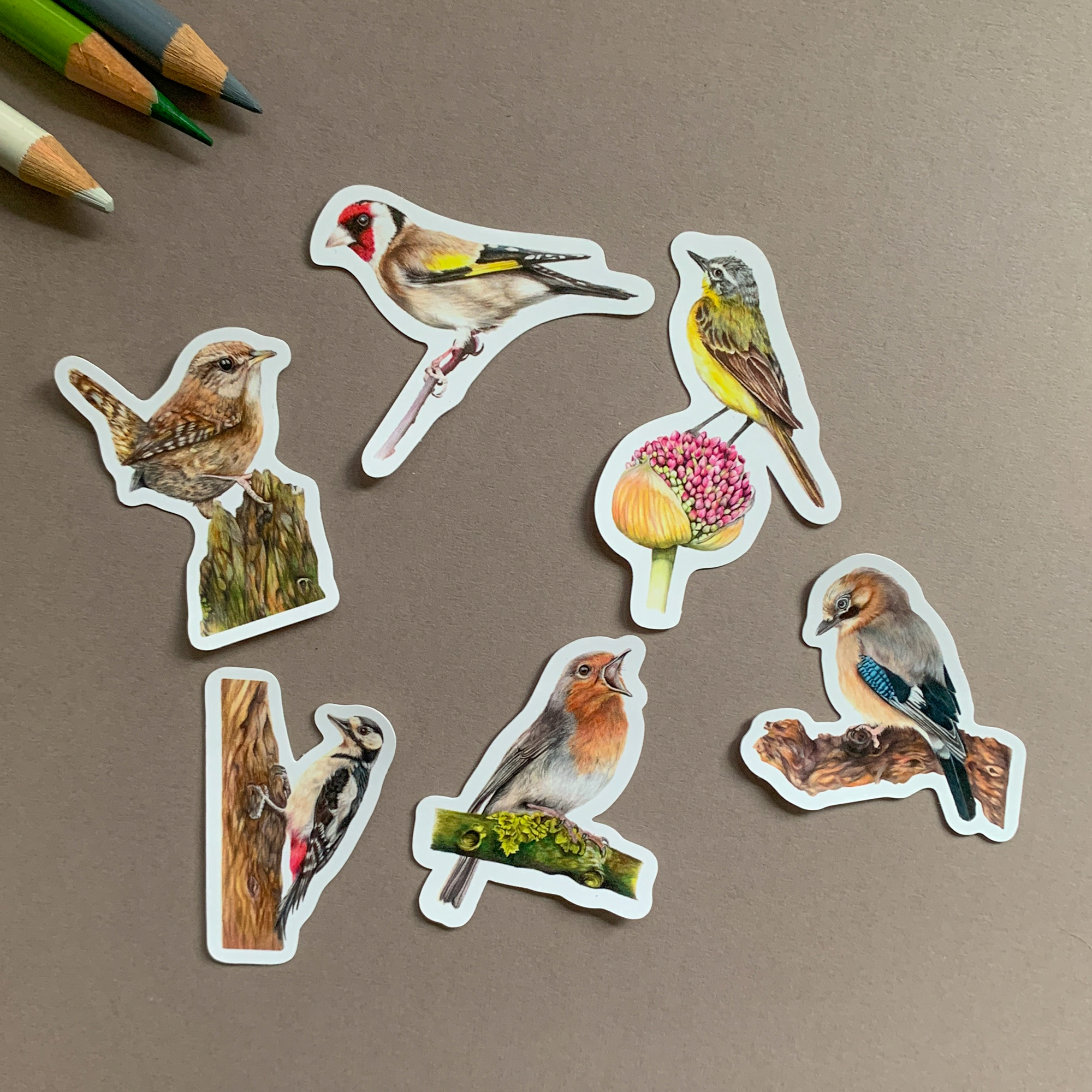 British Birds Collection – Vinyl Sticker Pack - Image 5