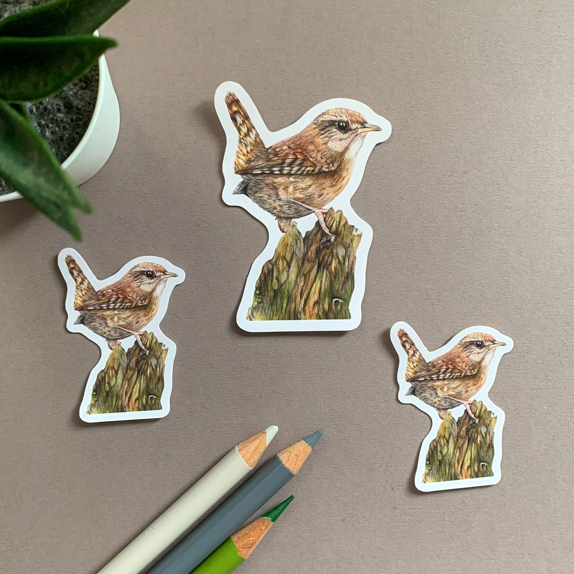 Wren Bird – Vinyl Sticker Pack - Image 3
