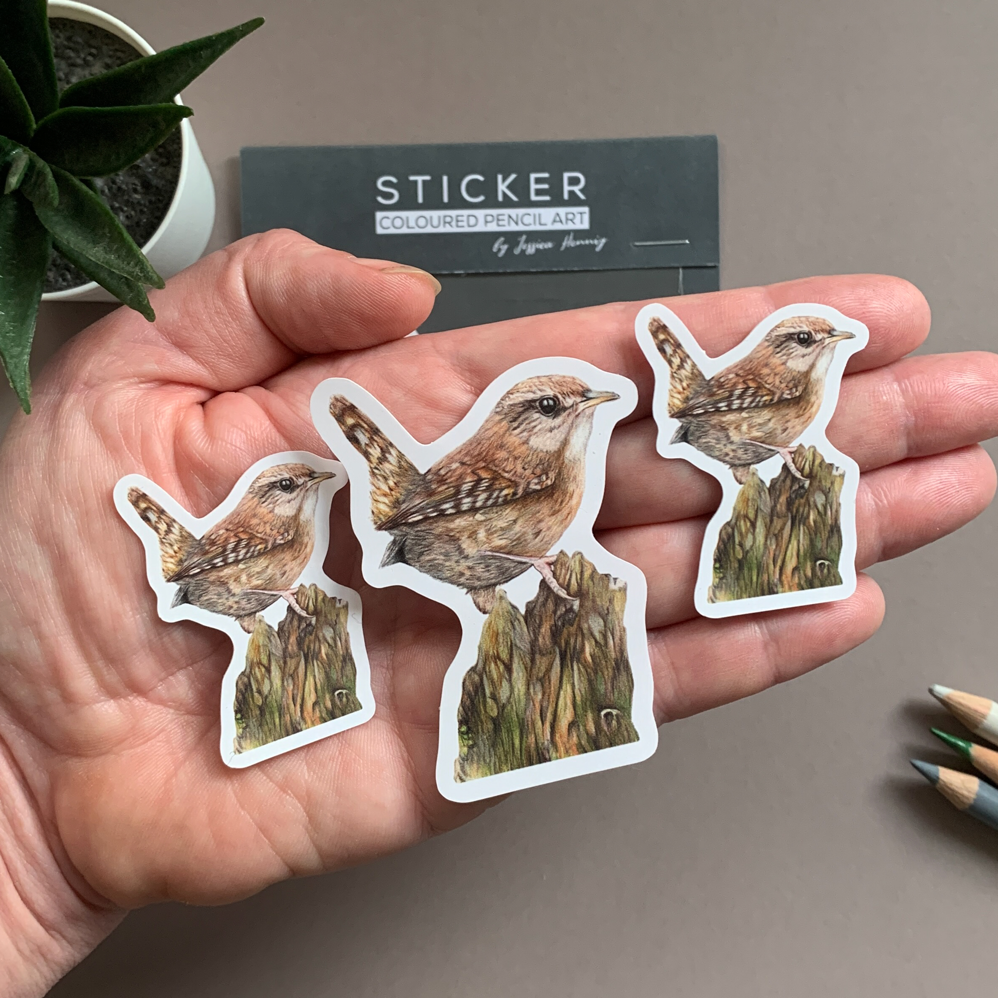 Wren Bird – Vinyl Sticker Pack - Image 2