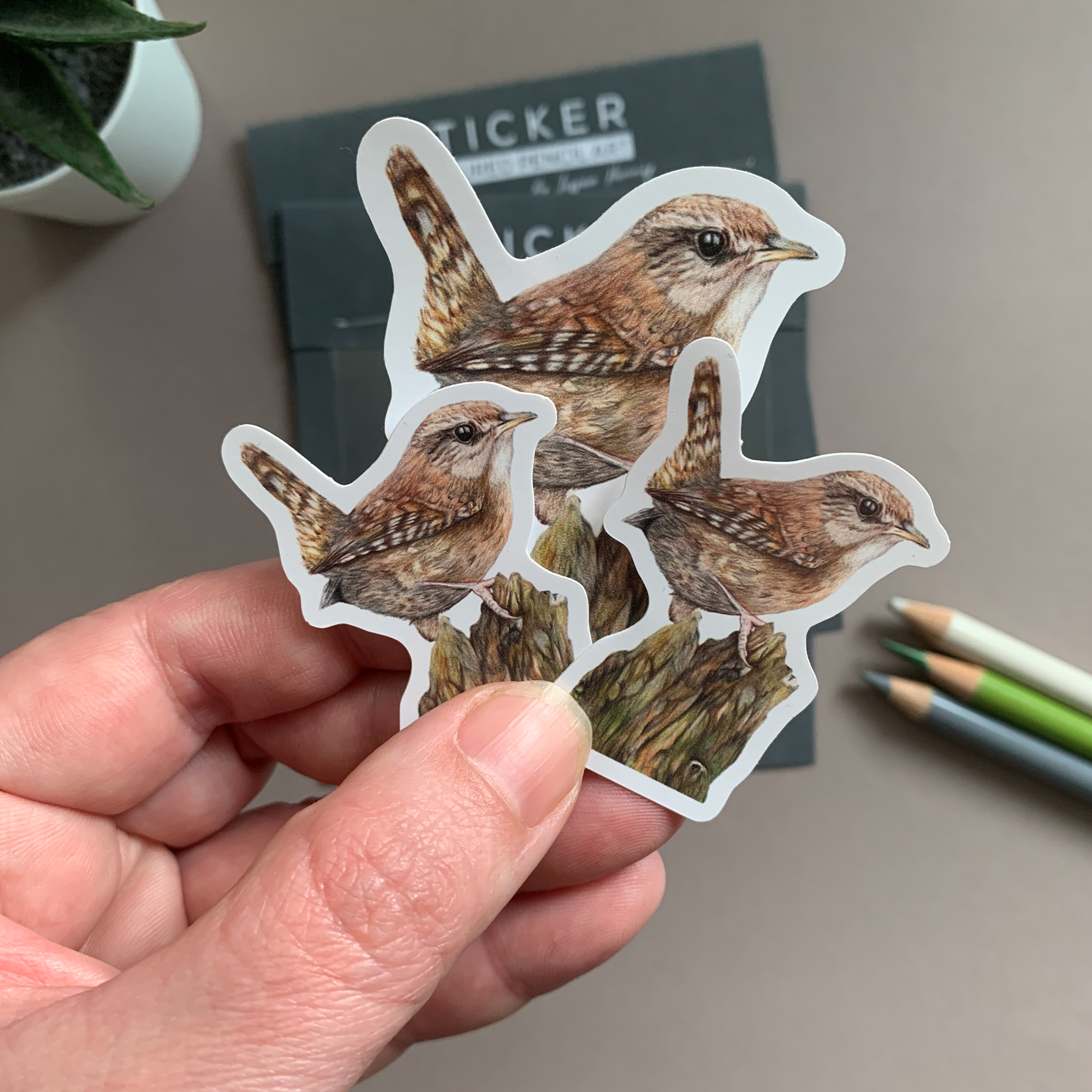 Wren Bird – Vinyl Sticker Pack - Image 7