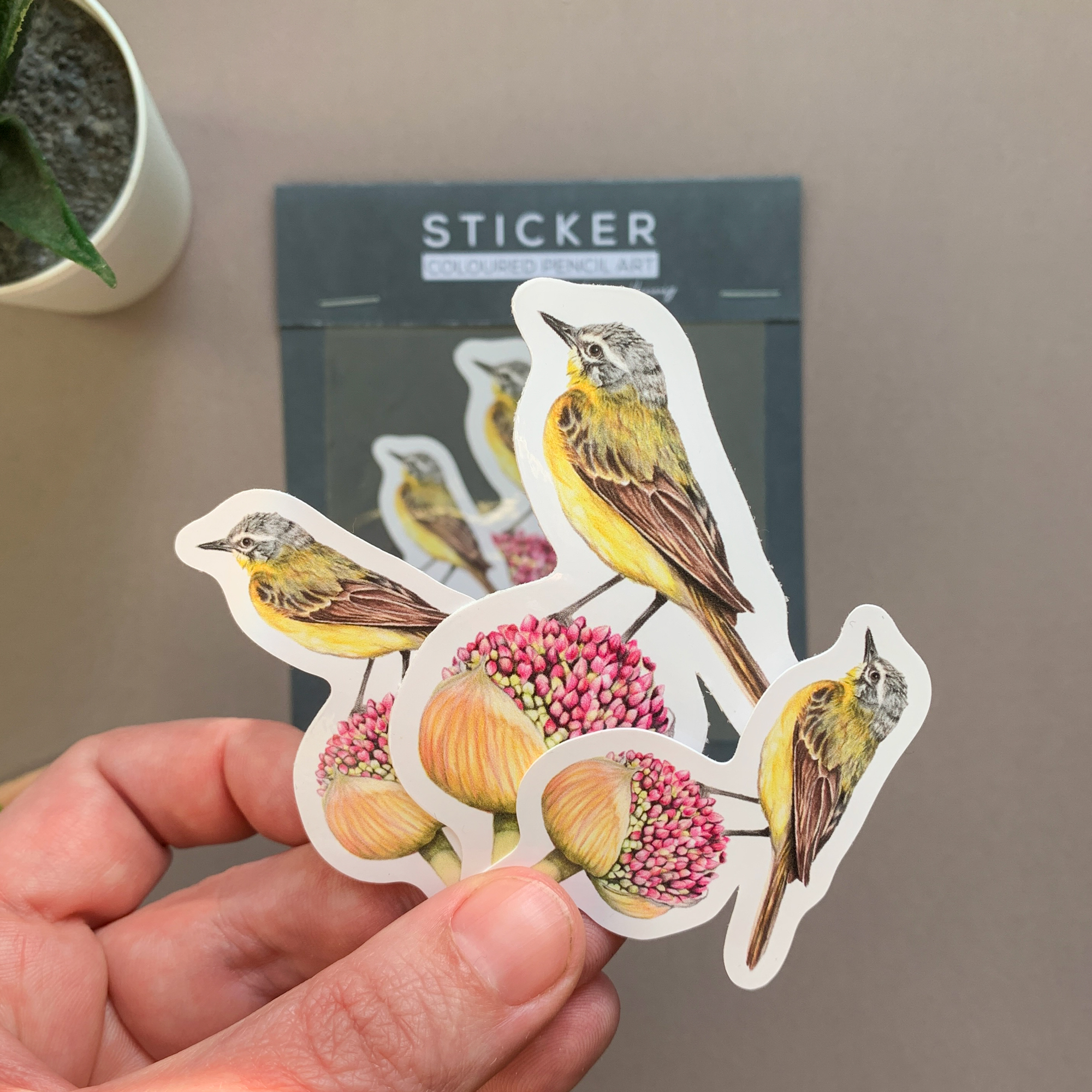 Yellow Wagtail Bird – Vinyl Sticker Pack - Image 4