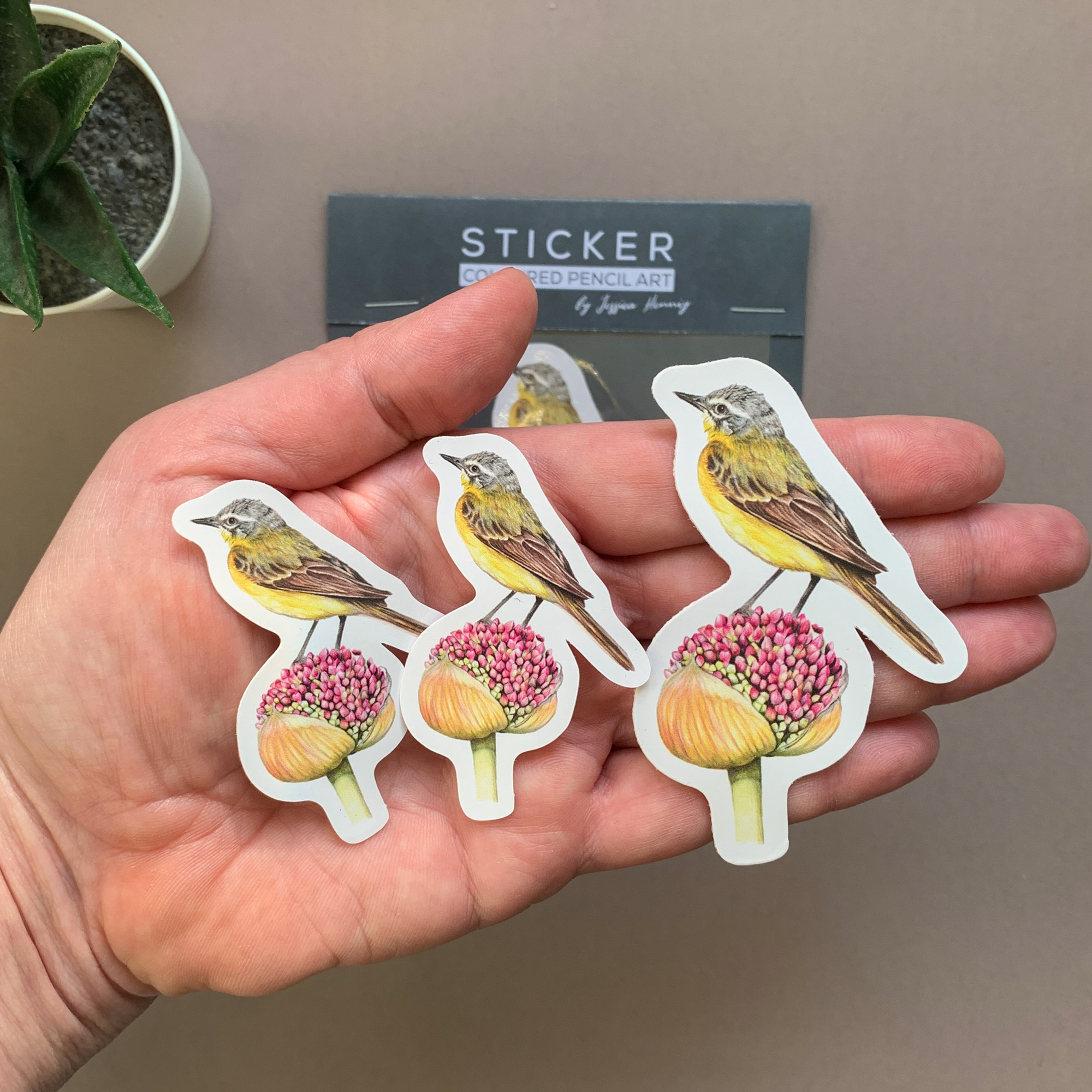 Yellow Wagtail Bird – Vinyl Sticker Pack - Image 2