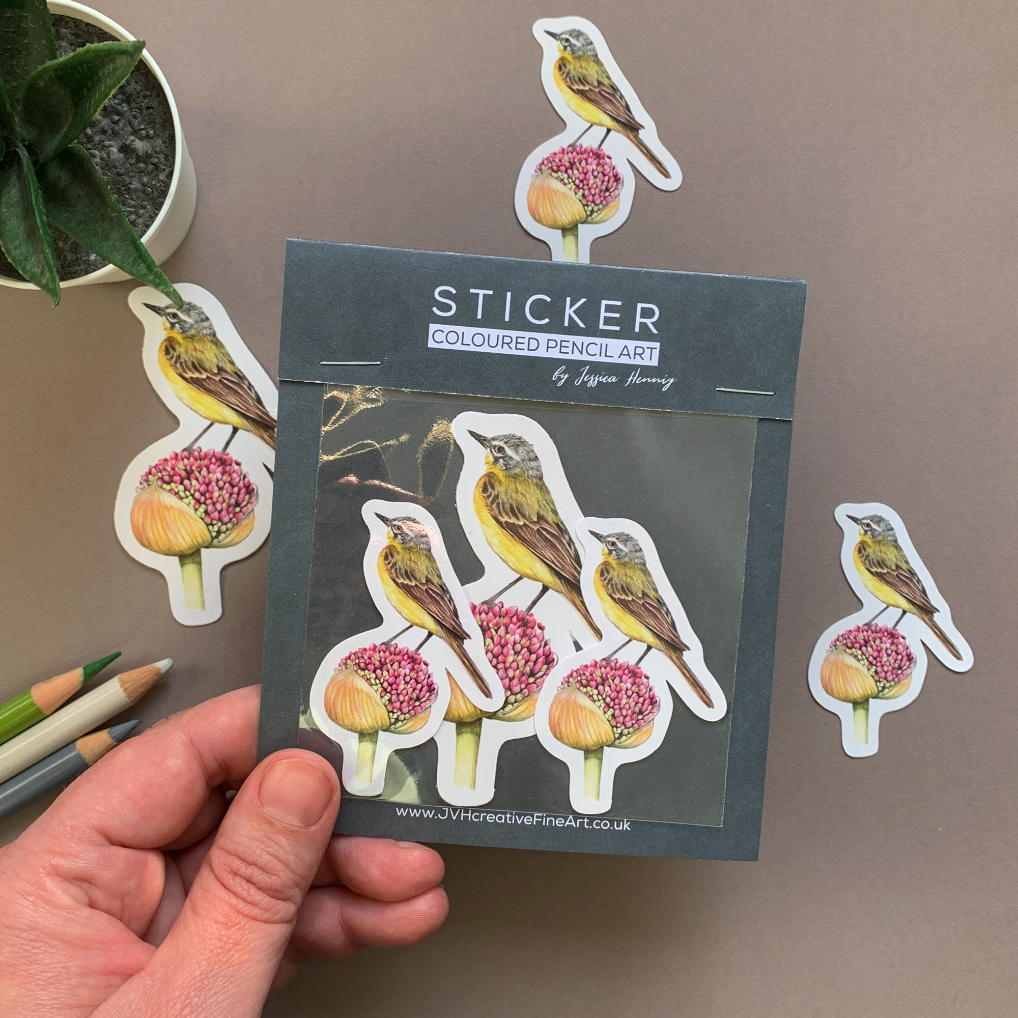 Yellow Wagtail Bird – Vinyl Sticker Pack